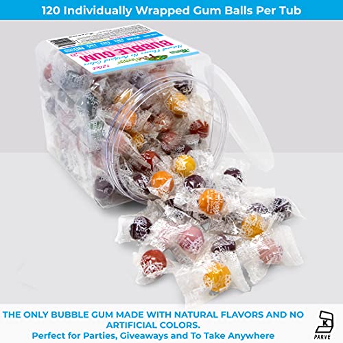 Tree Hugger Bubble Gum Fantastic Fruit Natural Flavors No Artificial Colors 120 Count Tub - Image 5