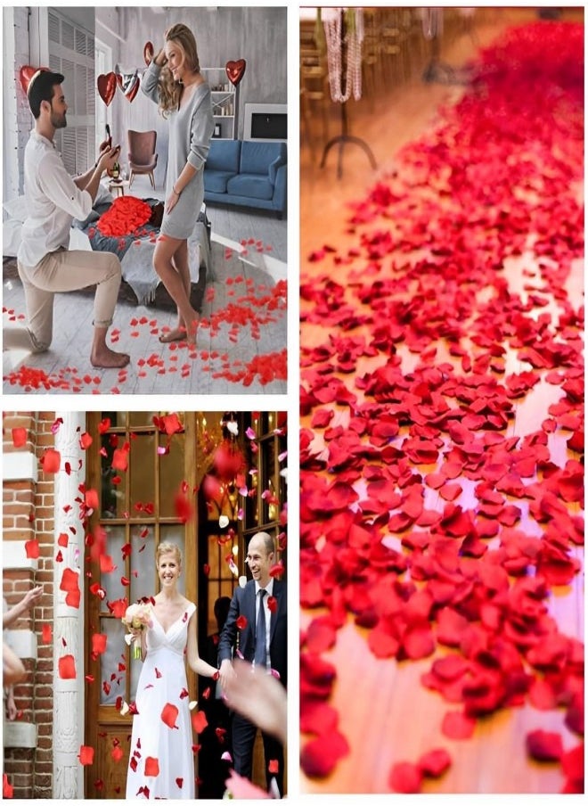 Generic - 1000 Pcs Artificial  Rose Red Flower PetalsValentine Day, Make a proposal,Anniversary, Wedding Love Decorations Romantic Party - Image 1