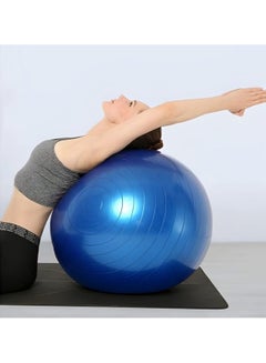TA SPORT ICAN Fitness Yoga Exercise Ball with Air Pump for Adults and Kids, Thick Balance Ball for Sensory Training for Yoga and Pilates  - Image 3