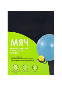 TA SPORT ICAN Fitness Yoga Exercise Ball with Air Pump for Adults and Kids, Thick Balance Ball for Sensory Training for Yoga and Pilates  - Image 4