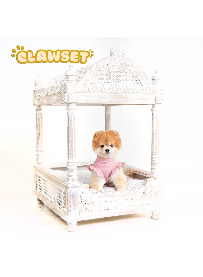 CLAWSET ANELLE PINK COLOR DOG CLOTHES DOG SHIRT DOG APPAREL DOG FASHION PET APPAREL FASHIONALE CLOTHES FASHIONABLE OUTFIT - Image 1