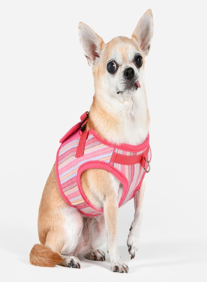 Puppia Theros Dog Vest Harness B (Step-in) Fashionable Striped Pattern Spring Summer Harness for Small and Medium Dogs, Pink, Small - Image 4