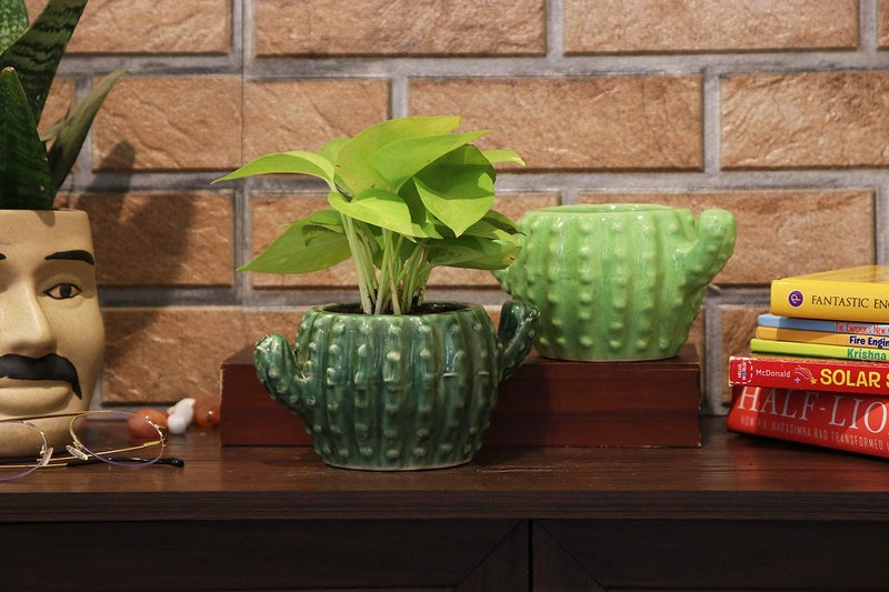 Leafy Tales Ceramic Cactus Shape Planter, Small Size - Light Green, 1 Piece - Image 3