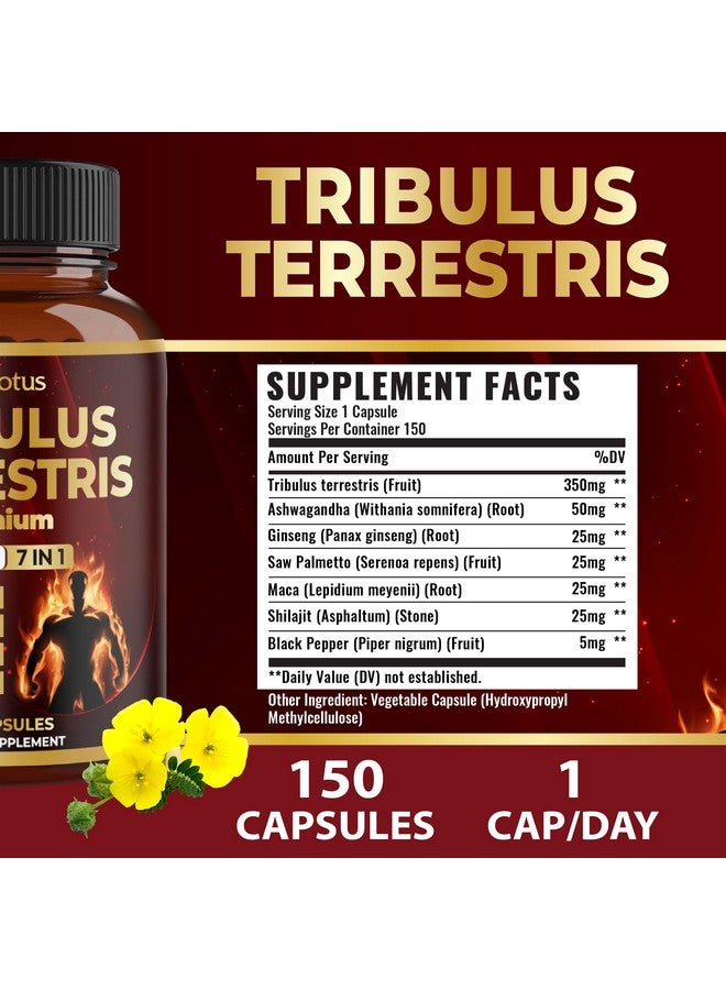 Zolotus Tribulus Terrestris Supplement for Men & Women, 5-Month Supply with Ashwagandha, Panax Ginseng, Saw Palmetto, Maca, Shilajit, 150 Count  - Image 2