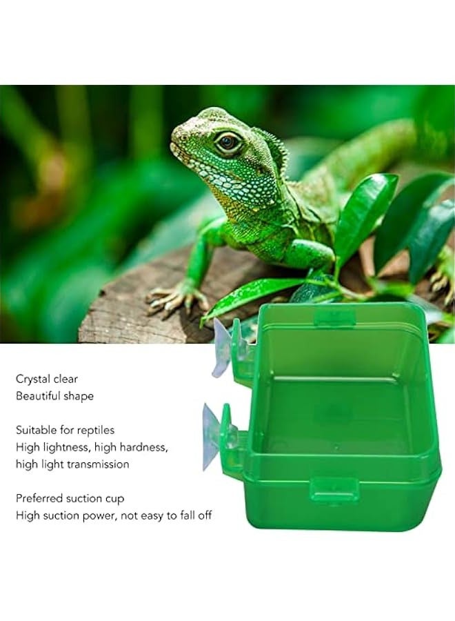 وعاء طعام و مياه للحيوانات الزاحفة مع كؤوس شفط (صغير) - مثالي لفاكهة الجيكو والسحالي يمنع الهروب - Image 3