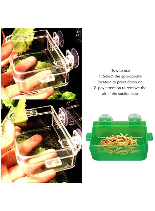 وعاء طعام و مياه للحيوانات الزاحفة مع كؤوس شفط (صغير) - مثالي لفاكهة الجيكو والسحالي يمنع الهروب - Image 4