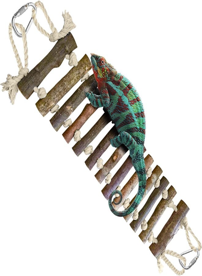 SunGrow Gecko Wooden Ladder Bridge, 14 x 3 inches, Exercise Gym, Interactive Swing Perch for Resting, Metal Clasps for Hanging, Vertical Stairs for Climbing - Image 1