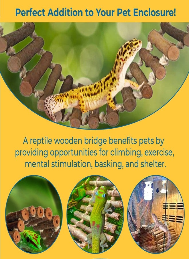 SunGrow Gecko Wooden Ladder Bridge, 14 x 3 inches, Exercise Gym, Interactive Swing Perch for Resting, Metal Clasps for Hanging, Vertical Stairs for Climbing - Image 4