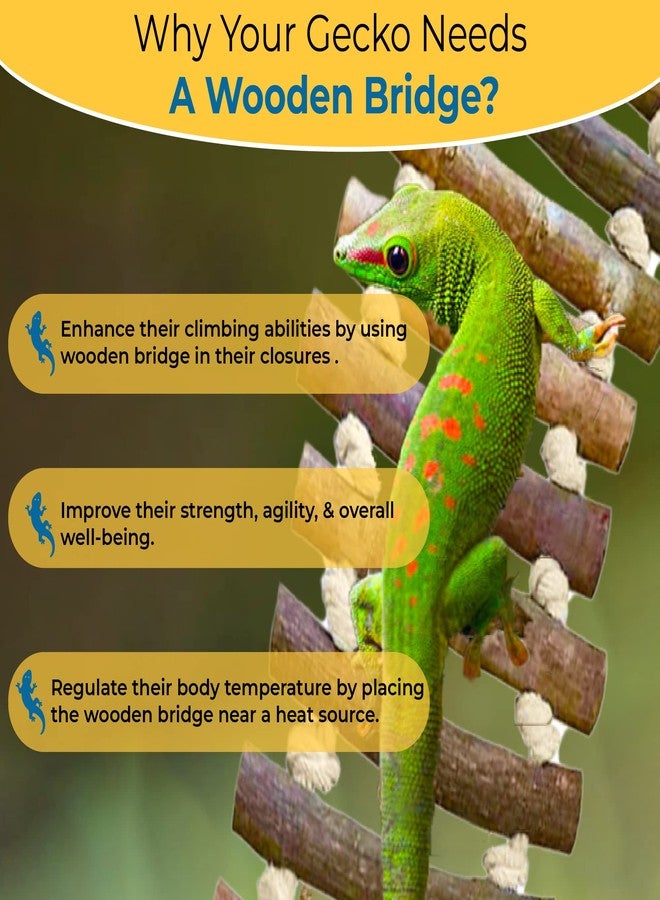 SunGrow Gecko Wooden Ladder Bridge, 14 x 3 inches, Exercise Gym, Interactive Swing Perch for Resting, Metal Clasps for Hanging, Vertical Stairs for Climbing - Image 2