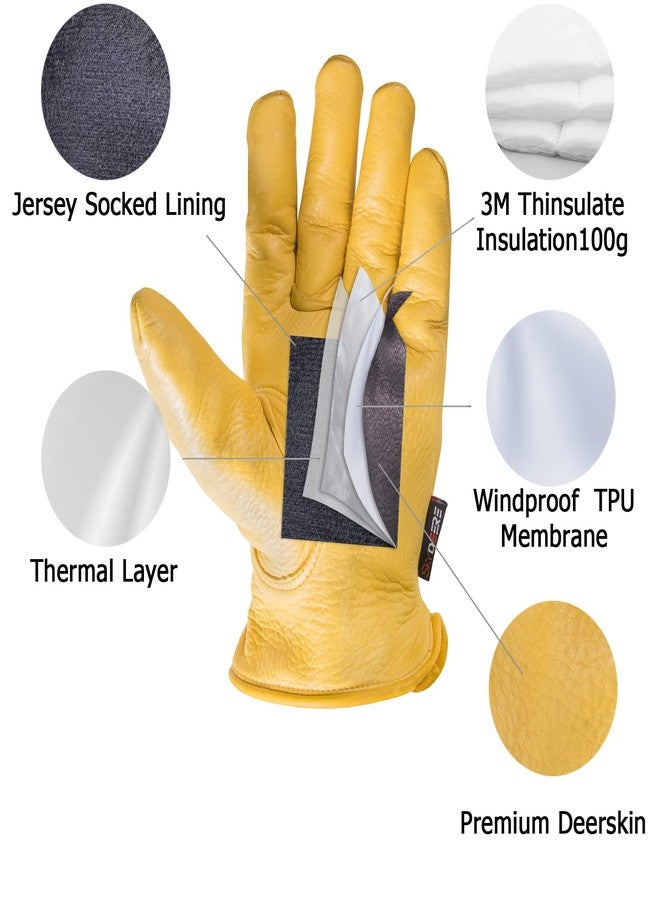 SKYDEER Full Premium Genuine Deerskin Leather Hi-Performance Utility Winter Drivers Work Gloves (SD2210T/L, 100g 3M Thinsulate Insulation) - Image 2