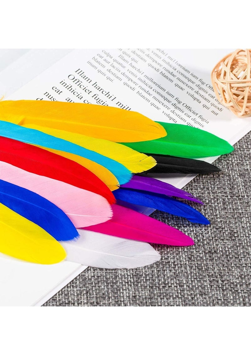 Colorful Feathers 600 Pcs, 12 Colors Crafts Goose for DIY Earrings Craft Home Wedding Baby Shower Decorations Dream Catcher Hat Jewelry Cloths Bag Earring Accessories  - Image 5