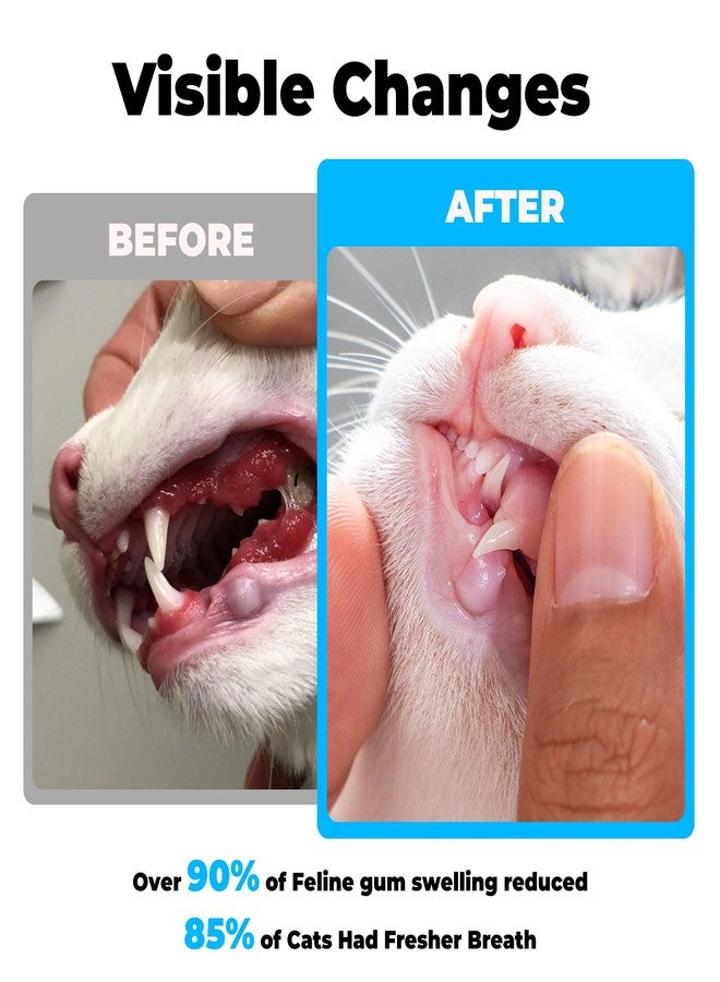VivaElixir Cat Dental Care - gingivitis Treatment - Relieves Bad Breath, Supports Teeth, Gums, Mouth & Digestion, Removes Plaque, Controls Tartar, Promotes Cat Mouth Health, Natural Extracts, 2.11 oz Powder - Image 4