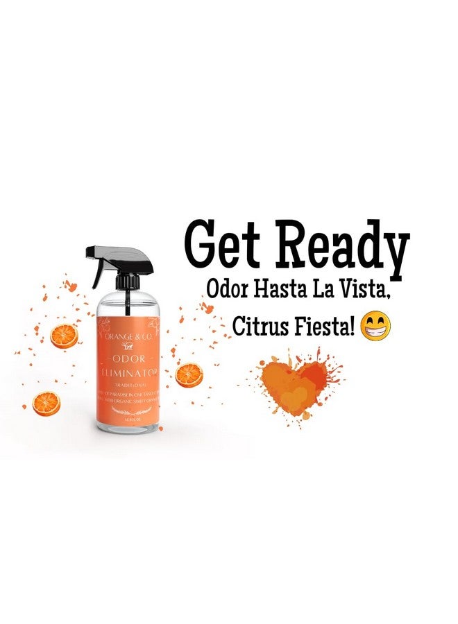 Generic Orange & Co. Traditional Pet Odor Eliminator - Strong Citrus Formula for Stubborn Dog and Cat Pee Odors on Carpet, Furniture, and Indoor/Outdoor Floors - Deodorizer - 16 Fluid Ounces - Puppy Supplies  - Image 4
