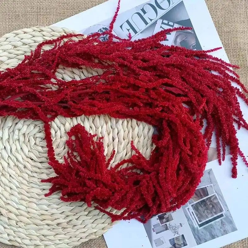 Bluejw L7 Natural Dried Amaranth Flower - 5pcs Preserved Hanging Amaranthus Caudatus, Rustic Home Wedding Decor, Dried Plants for Floral Arrangements - Image 1