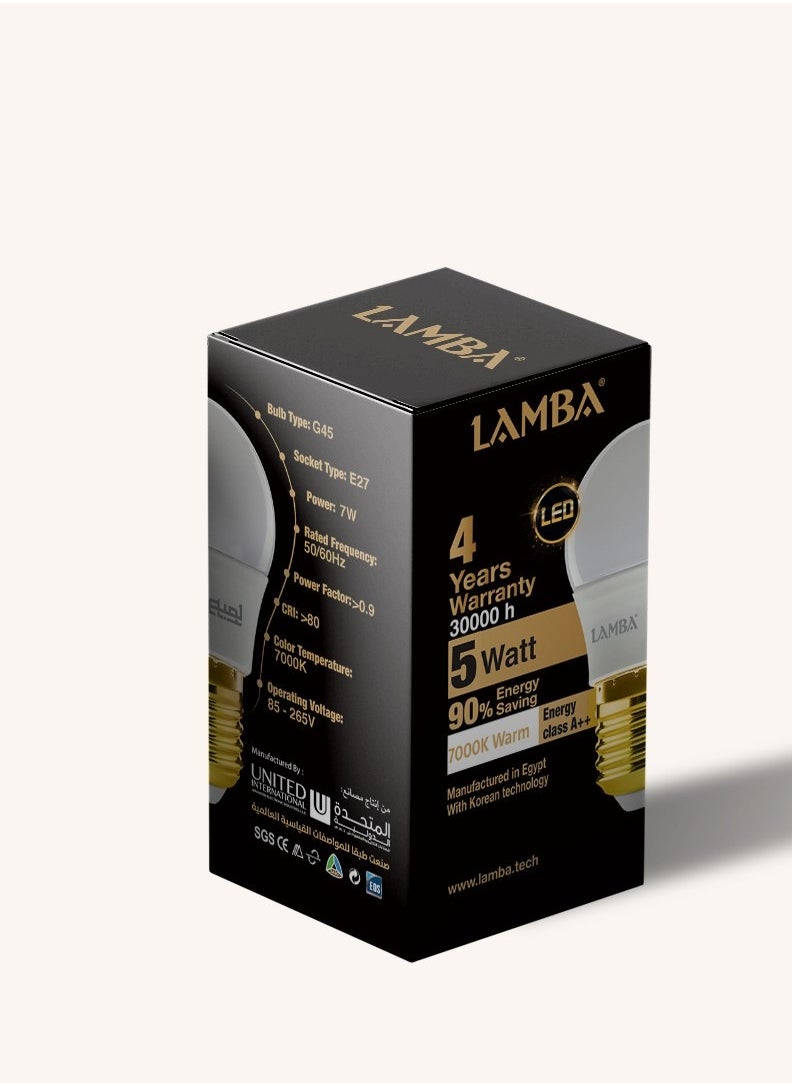 LAMBA - G45 5W E27 لمبة 5 وات اضاءة ورم - Image 1