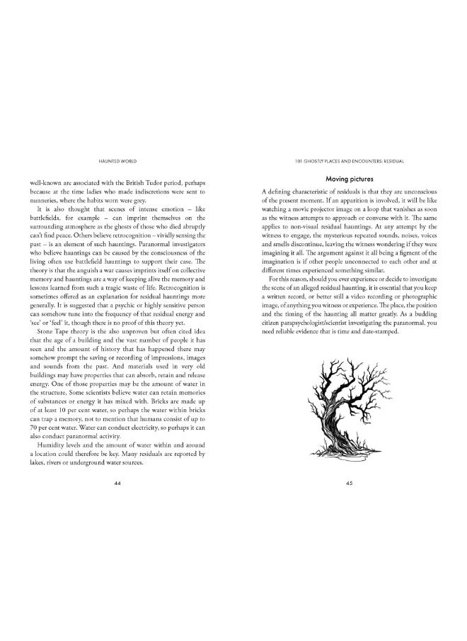 Haunted World: 101 Ghostly Places and Encounters (with a Foreword by Loyd Auerbach)  - Image 4