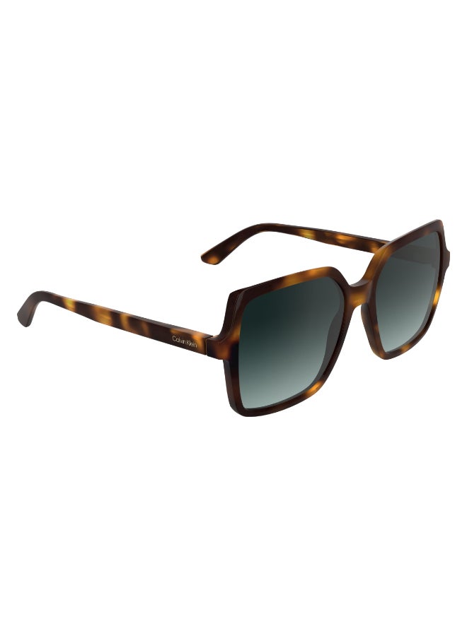 CALVIN KLEIN FULL RIM INJECTED CALVIN KLEIN SUN CK25537S 5617 (235) DARK HAVANA - Image 3
