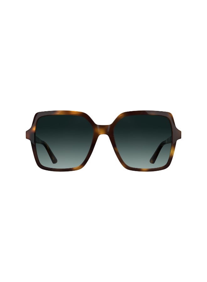 CALVIN KLEIN FULL RIM INJECTED CALVIN KLEIN SUN CK25537S 5617 (235) DARK HAVANA - Image 1