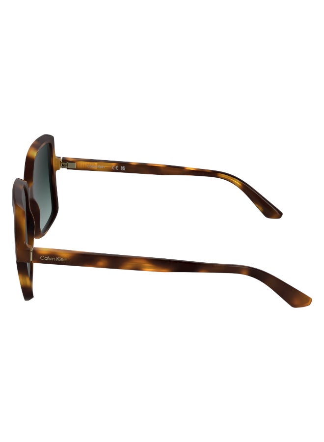 CALVIN KLEIN FULL RIM INJECTED CALVIN KLEIN SUN CK25537S 5617 (235) DARK HAVANA - Image 4