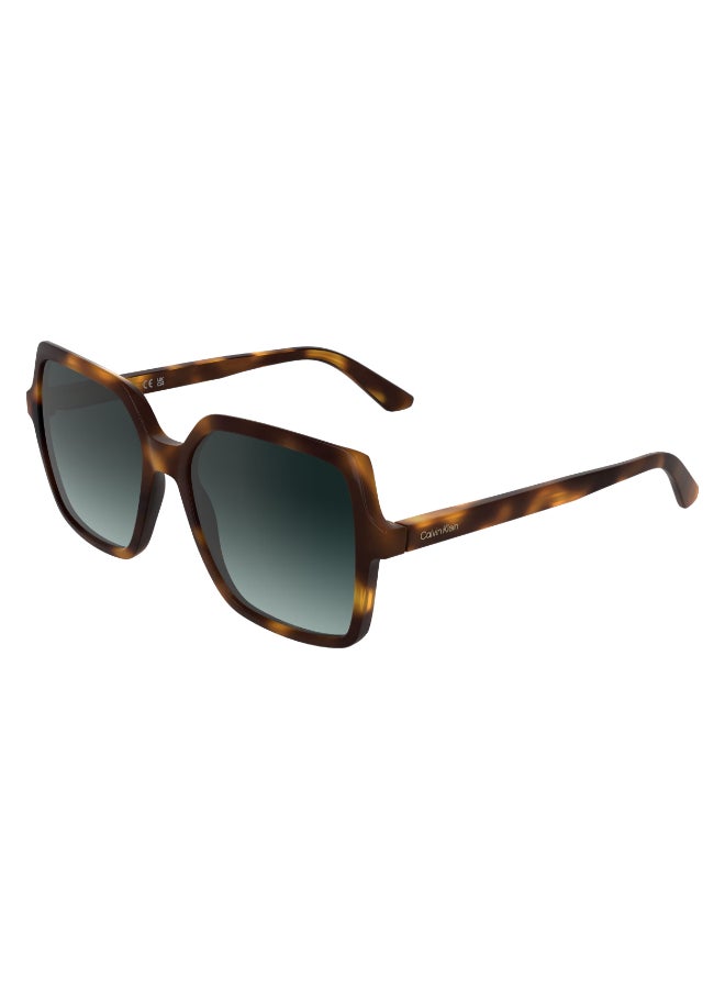 CALVIN KLEIN FULL RIM INJECTED CALVIN KLEIN SUN CK25537S 5617 (235) DARK HAVANA - Image 2