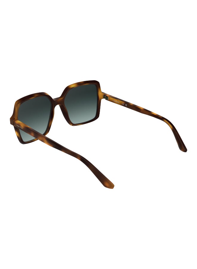 CALVIN KLEIN FULL RIM INJECTED CALVIN KLEIN SUN CK25537S 5617 (235) DARK HAVANA - Image 5