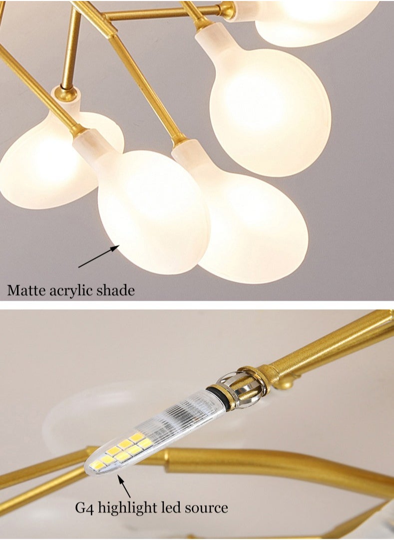 LED Chandelier Gold Hanging Light Warm Light