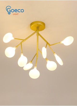 Warm Light