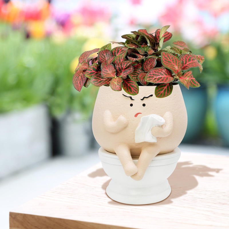 Toparad Face Self Watering Planter Pots Funny Toilet Plant Pot for Indoor Plants, Resin Face Head Flower Pots Quirky Succulent Planters with Drainage Hole, Gift Ideal for Home, Office, Christmas - Image 2