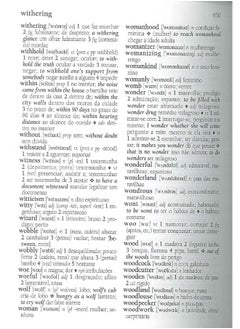 English-Portuguese & Portuguese-English Academic Dictionary  - Image 3