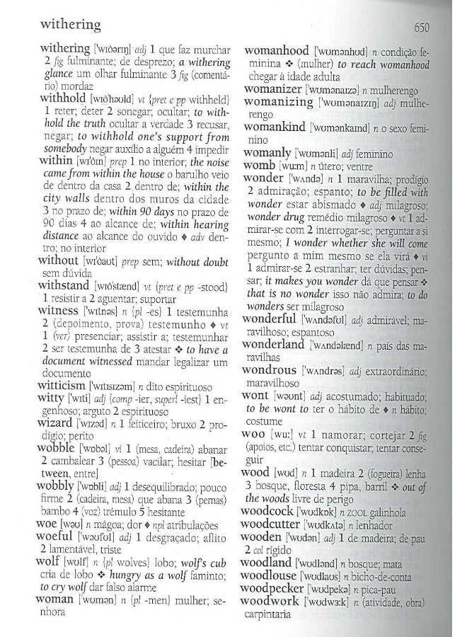 English-Portuguese & Portuguese-English Academic Dictionary - Image 5