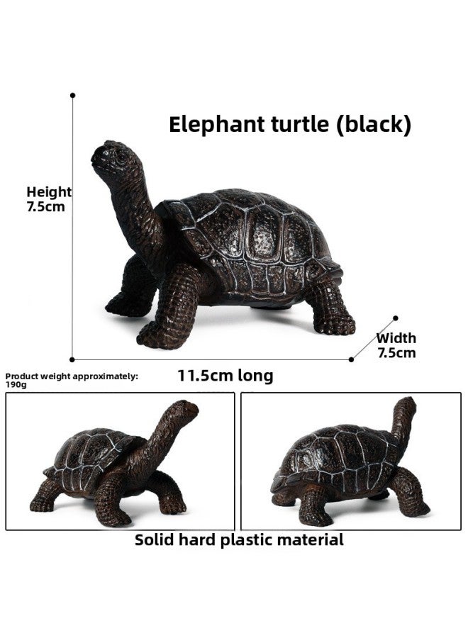 Generic Children's Cognitive Simulation Marine Animal Model Small ...