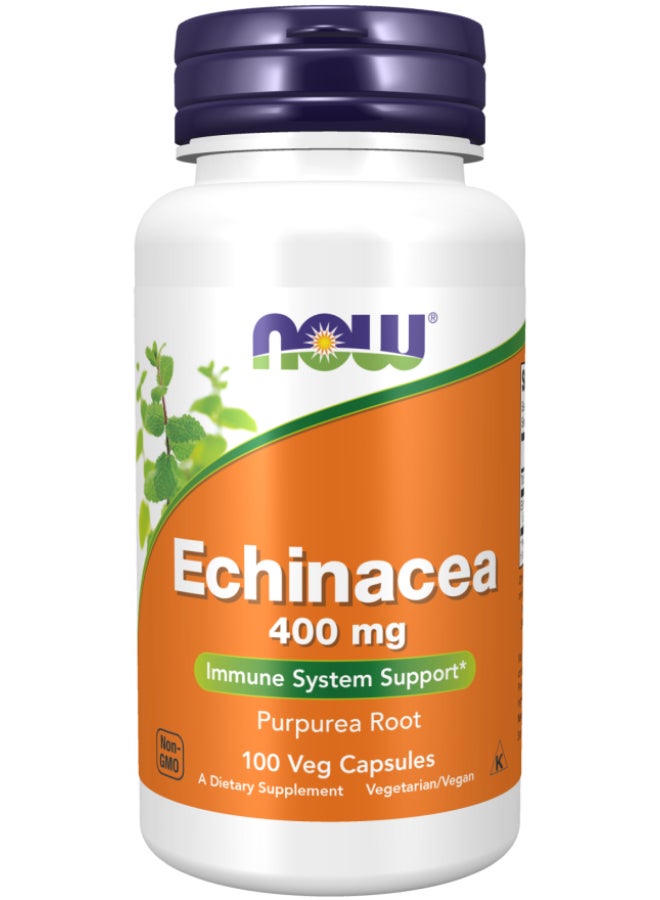 Now Foods Echinacea Purpurea Root Dietary Supplement 100 Capsules - Image 1