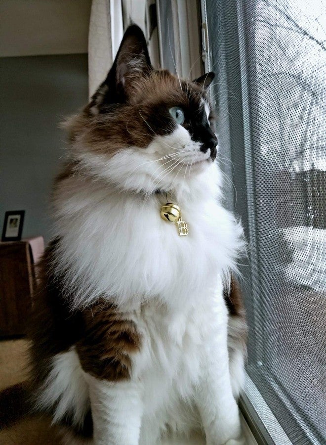 SENFAI Gold Plated 26 Alphabet English Letters Crystal First Initial Name Charms for Bracelet,Necklace,Zipper Puller (M1) - Image 2