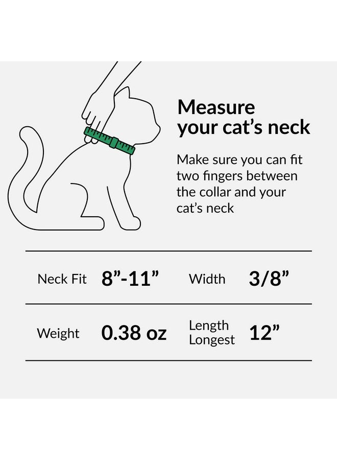 CollarDirect Leather Cat Collar with Bell - Kitten Collar, Small and Big Cat Collar for Boy Cats, Girl Cats with Safety Elastic Strap (Neck Fit 8"-11", Mint Green) - Image 2