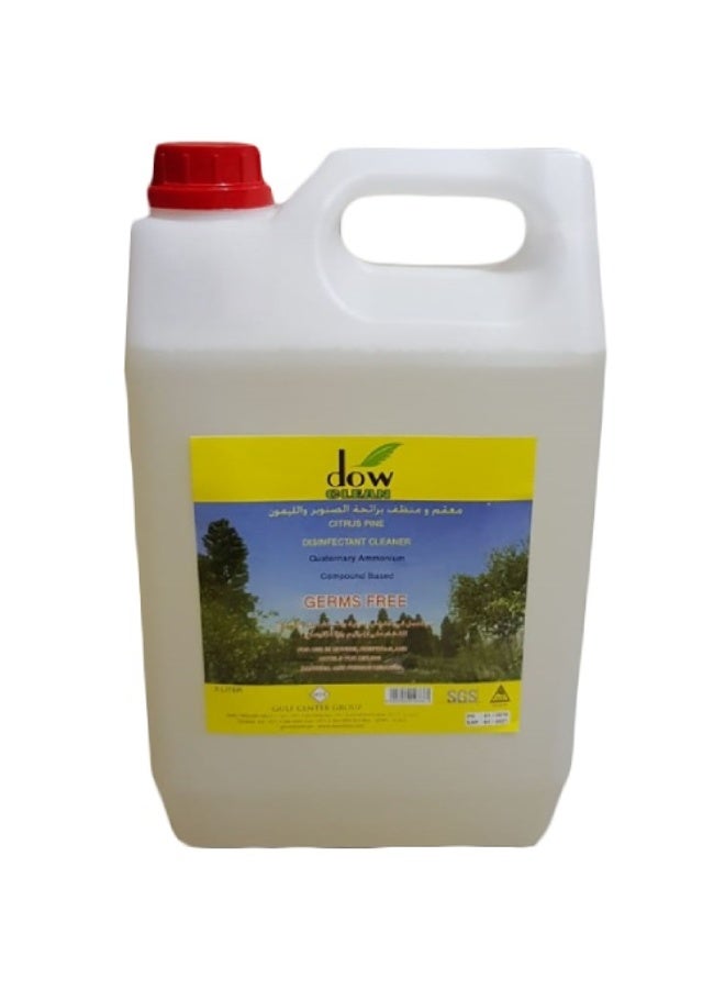 DOW CLEAN CITRUS PINE DISINFECTANT, 1X5 LTRS