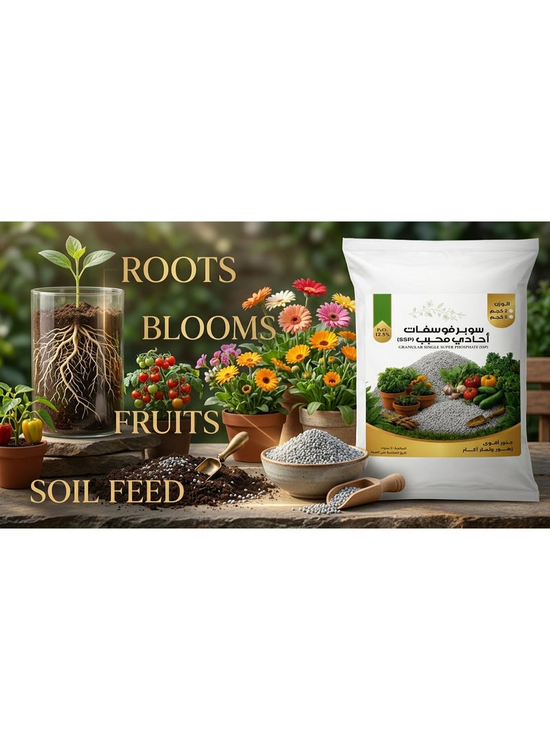 Granular Single Super Phosphate (SSP) P2O5 12.5% Slow-Release Organic Phosphorus Fertilizer Pellets for Deep Root Development & Max Balcony Flower Blooming - 2 kg - Image 5