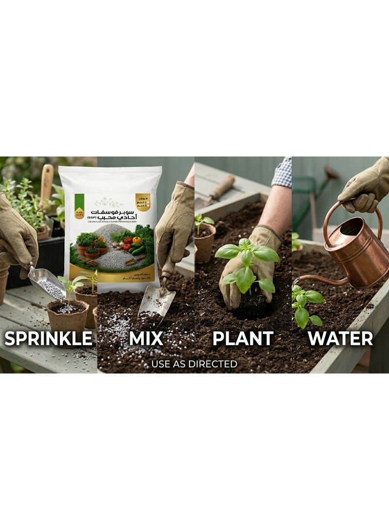 Granular Single Super Phosphate (SSP) P2O5 12.5% Slow-Release Organic Phosphorus Fertilizer Pellets for Deep Root Development & Max Balcony Flower Blooming - 2 kg - Image 3