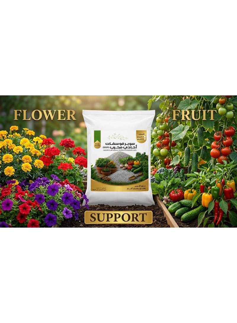 Granular Single Super Phosphate (SSP) P2O5 12.5% Slow-Release Organic Phosphorus Fertilizer Pellets for Deep Root Development & Max Balcony Flower Blooming - 2 kg - Image 2