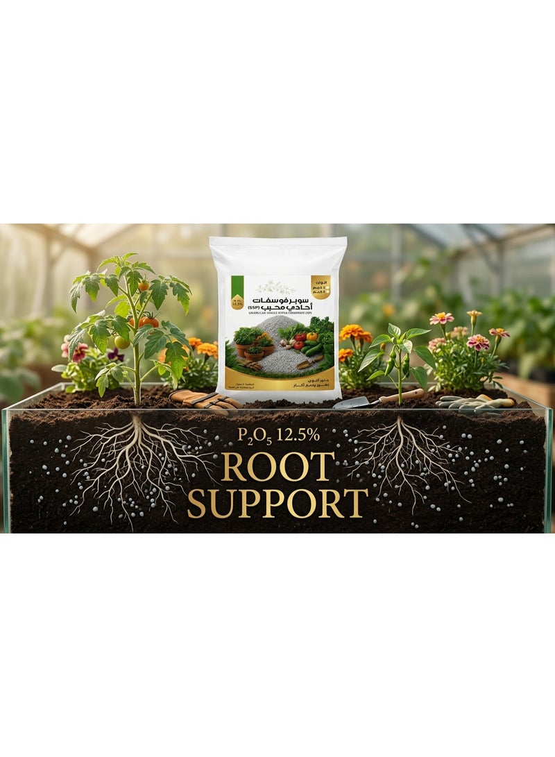 Granular Single Super Phosphate (SSP) P2O5 12.5% Slow-Release Organic Phosphorus Fertilizer Pellets for Deep Root Development & Max Balcony Flower Blooming - 2 kg - Image 4