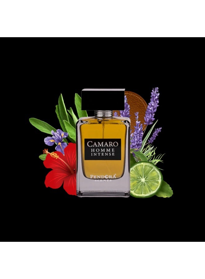 Pendora Camaro Homme Inetnse - Men EDP - 100ml - Image 4