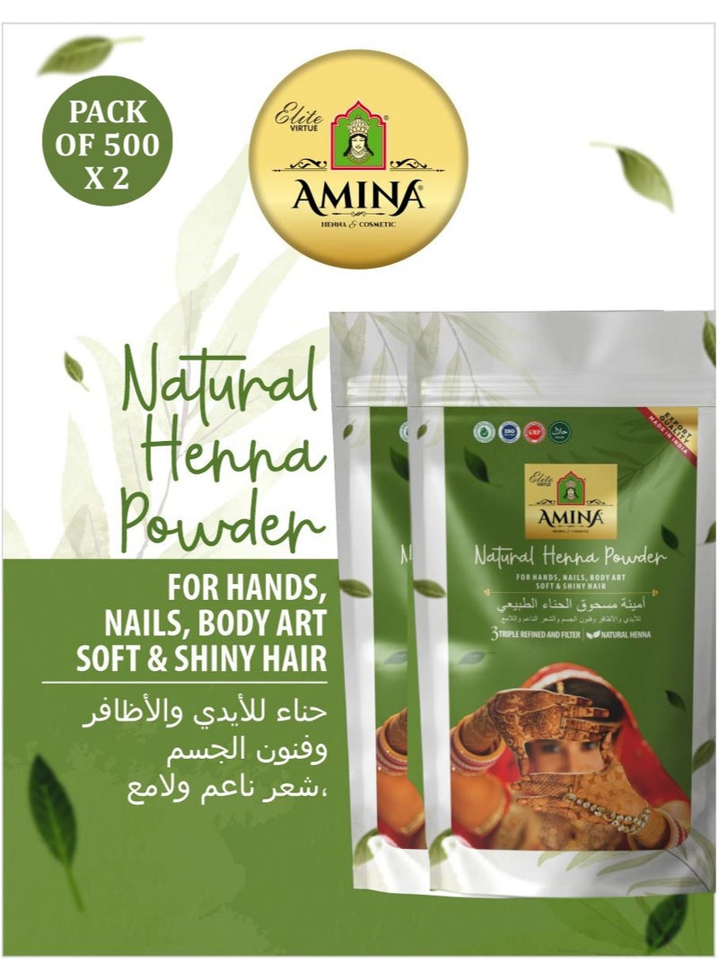 Amina Henna Herbal Mehndi Natural Henna Powder For Skin, Hand, Feet and Hair, Green (2 Packs 500 g) - Image 1