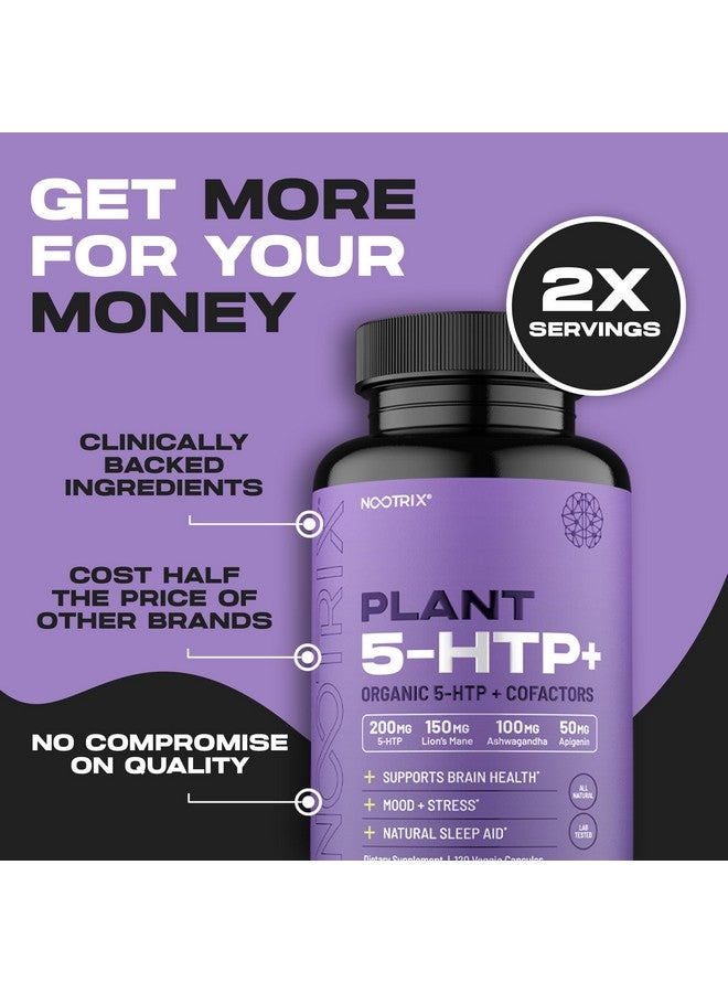 Nootrix مكمل نوتريكس العضوي من نبات 5 HTP+ | يدعم الذاكرة والتركيز الذهني وصحة الإدراك والطاقة | يعزز المزاج الصحي ووظيفة الدماغ | فيتامين B6 و L ثيانين | 120 كبسولة - Image 3