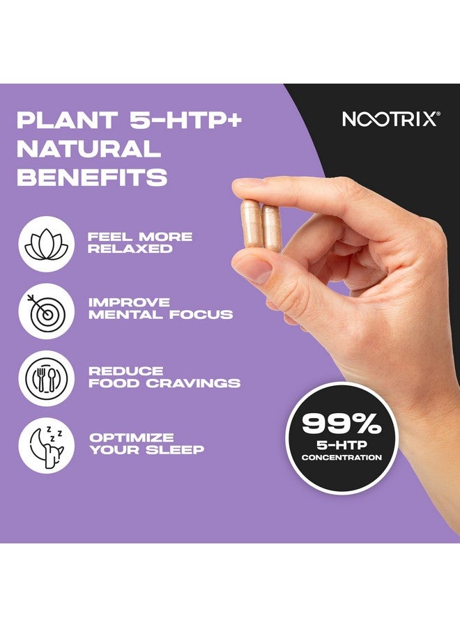 Nootrix مكمل نوتريكس العضوي من نبات 5 HTP+ | يدعم الذاكرة والتركيز الذهني وصحة الإدراك والطاقة | يعزز المزاج الصحي ووظيفة الدماغ | فيتامين B6 و L ثيانين | 120 كبسولة - Image 5