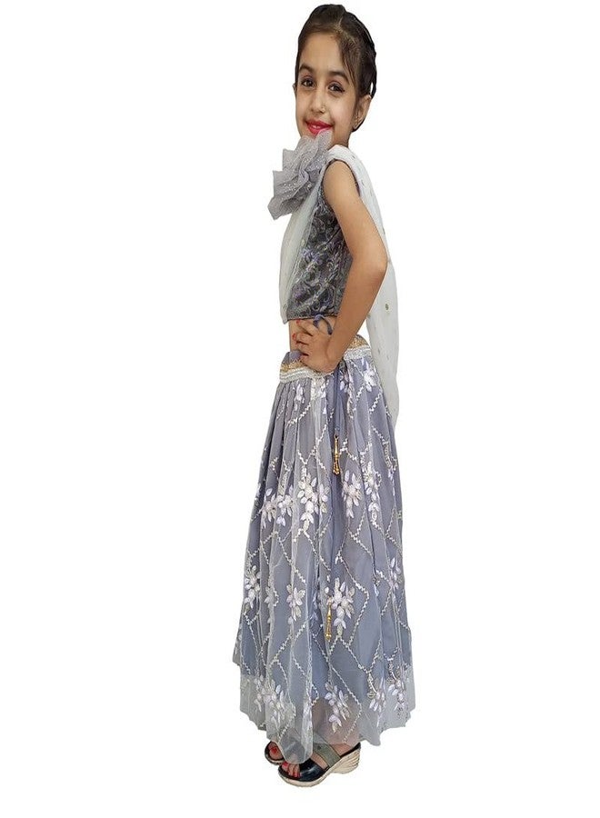 Aglare lehenga choli,net emdroydered lehenga choli, online lehenga choli, STITCHEDGre - Image 4