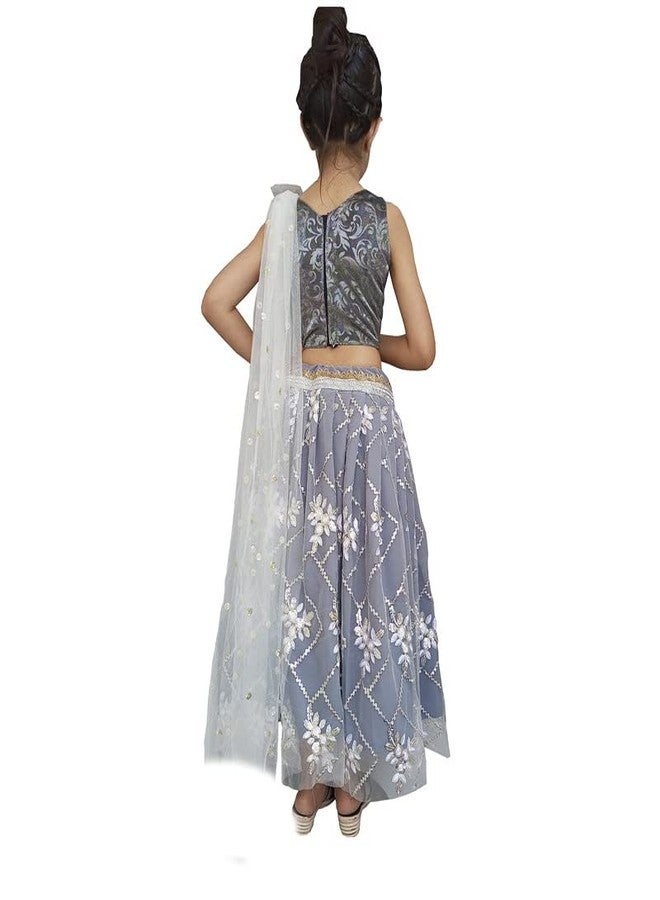 Aglare lehenga choli,net emdroydered lehenga choli, online lehenga choli, STITCHEDGre - Image 3
