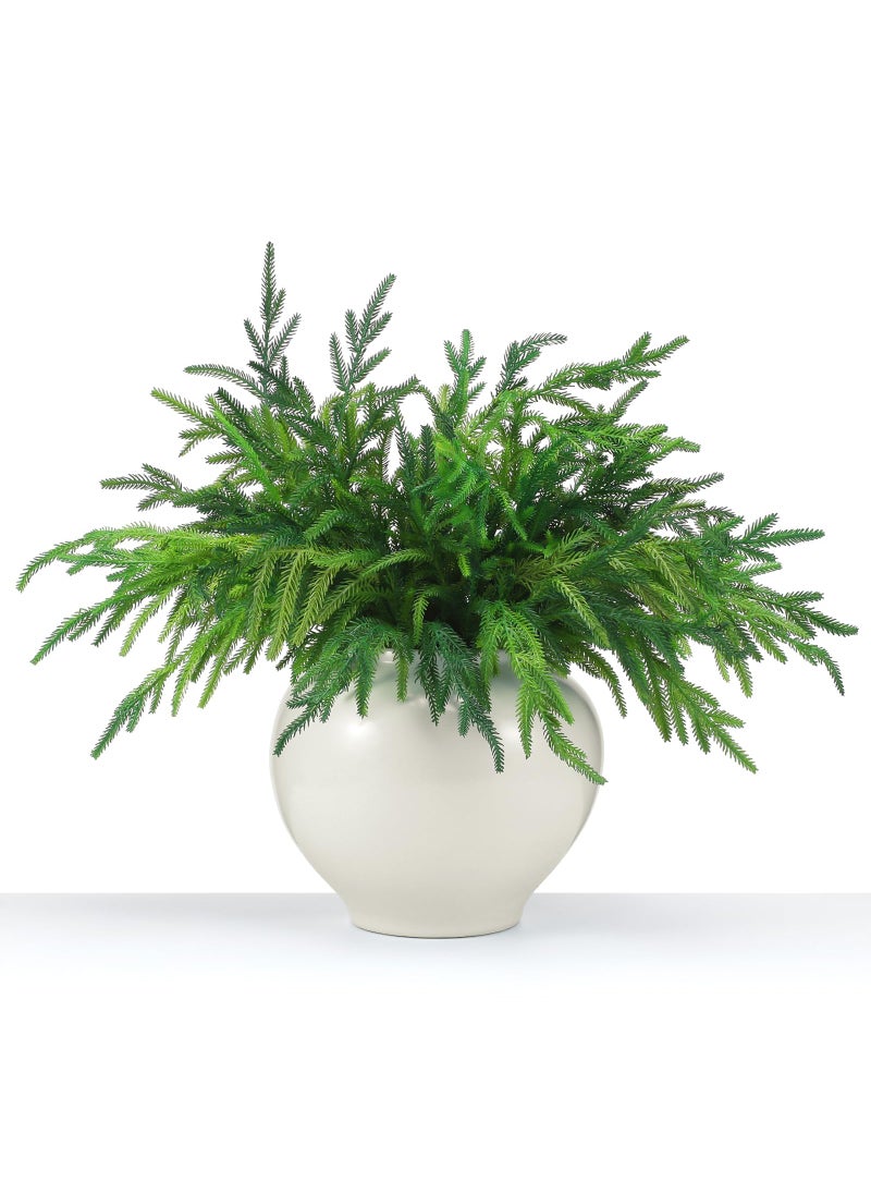 Jutom Jutom 6 Pcs Christmas Norfolk Pine Branches  Norfolk Pine Artificial Christmas Branches DIY Crafts Faux Christmas Norfolk Pine Branches for Xmas Indoor Outdoor Home Decor (18 Inches)  - Image 1