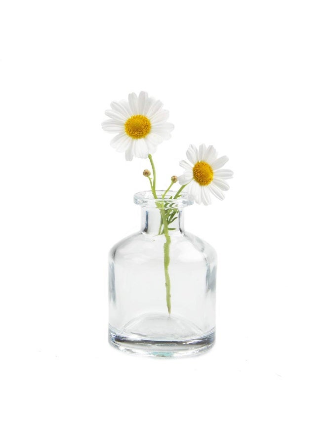 CHIVE â€˜Loftâ€™ Small Mini Flower Vases - Clear Glass Bud Vases, Set of 10 - Cute Vintage Rustic Centerpieces for Wedding, Events & Home - Premium Quality, Designed to Last - Image 5