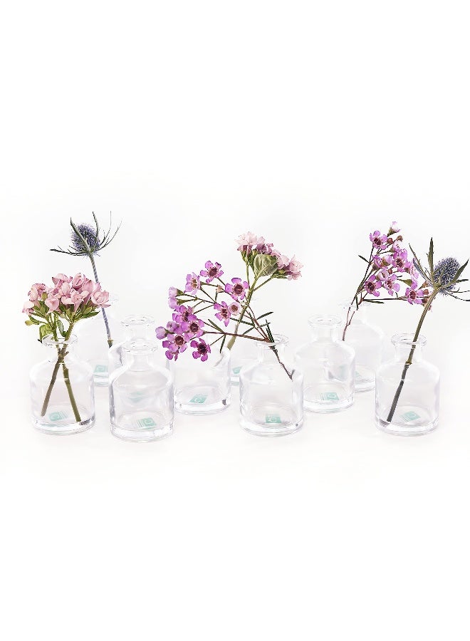CHIVE â€˜Loftâ€™ Small Mini Flower Vases - Clear Glass Bud Vases, Set of 10 - Cute Vintage Rustic Centerpieces for Wedding, Events & Home - Premium Quality, Designed to Last - Image 3