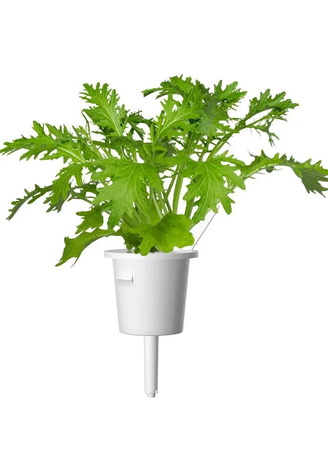 Click & Grow Click & Grow Plant Pods Leaf Mustard