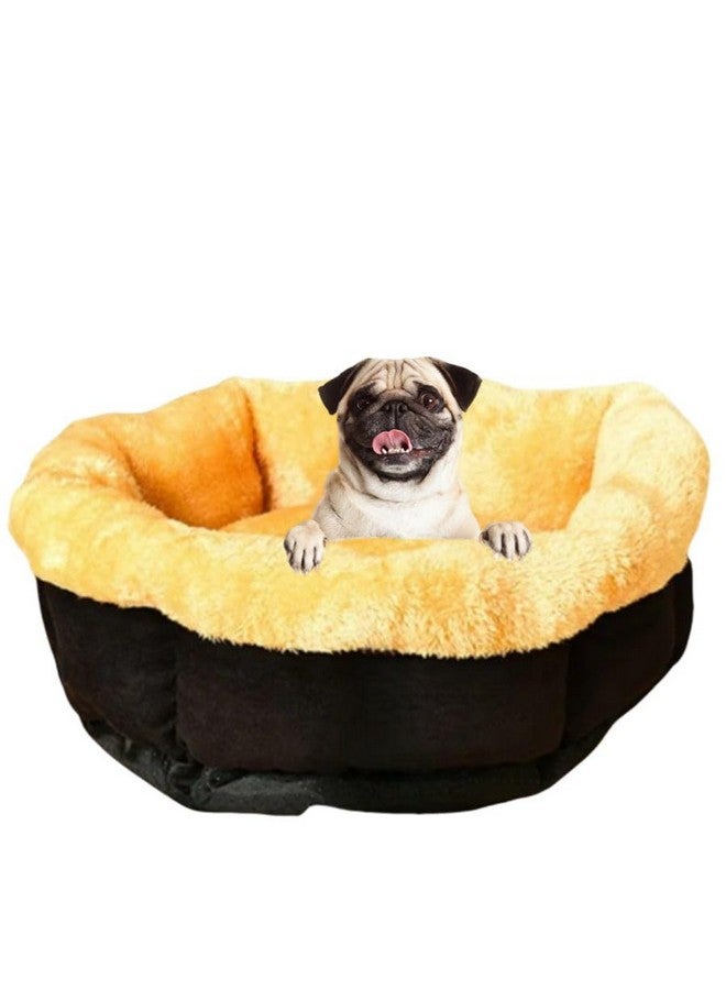 بت أسرّة للكلاب الصغيرة، قابلة للغسل، مصنوعة من صوف مخملي ناعم ودافئ، وسادة مريحة للقطط الأليفة، وسادة دائرية لتخفيف آلام العظام وتحسين النوم، قاعدة غير قابلة للانزلاق، سرير للقطط - Image 1